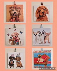 可愛いウォールデコ