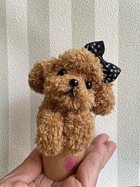 新作　カップーケーキ